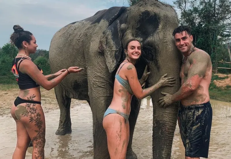Elephant bathing and spa experience in Phuket