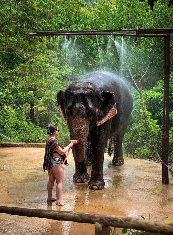 Elephant bathing and spa experience in Phuket