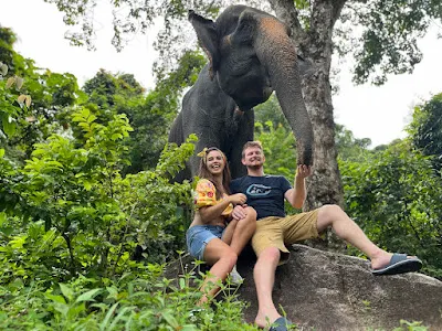 Hand-feeding a rescued elephant in Phuket