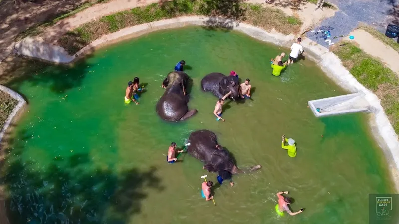 Half-day elephant program at the Phuket sanctuary