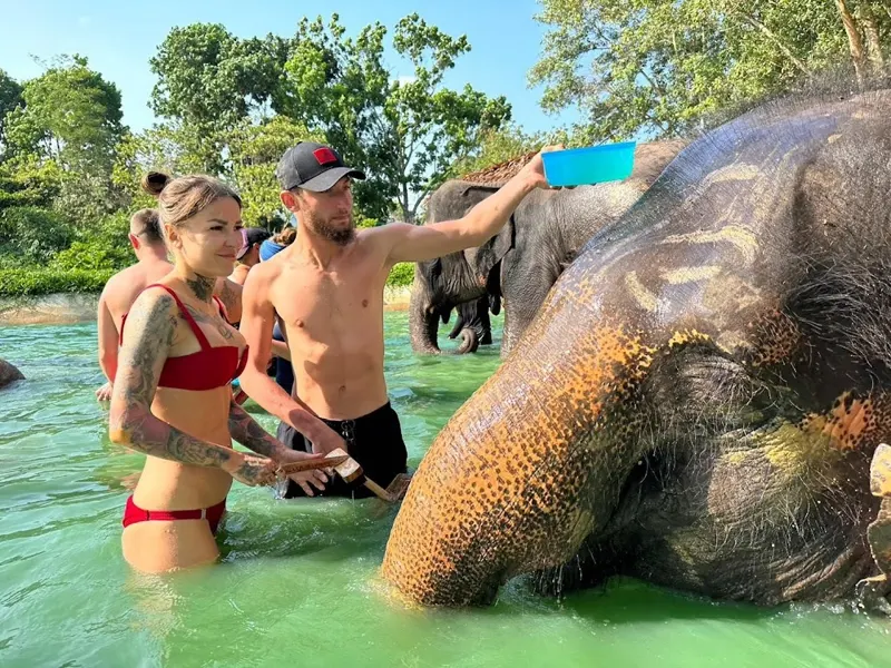 Half-day elephant program at the Phuket sanctuary