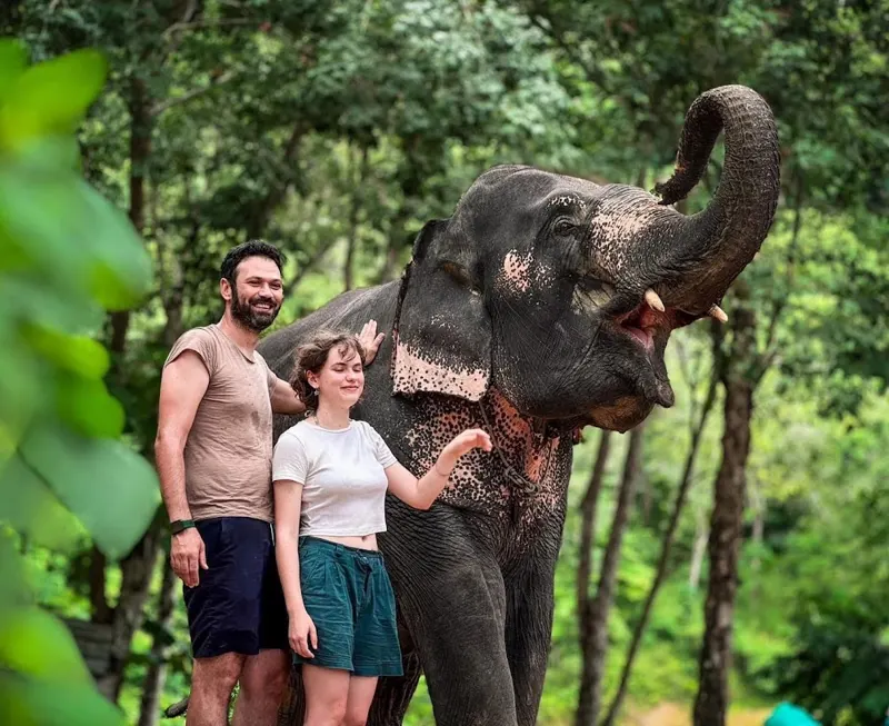 Heart to Trunk walk with rescued elephants in the Phuket jungle