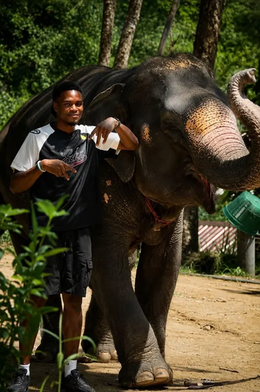 Rescued elephants at our ethical elephant sanctuary in Phuket
