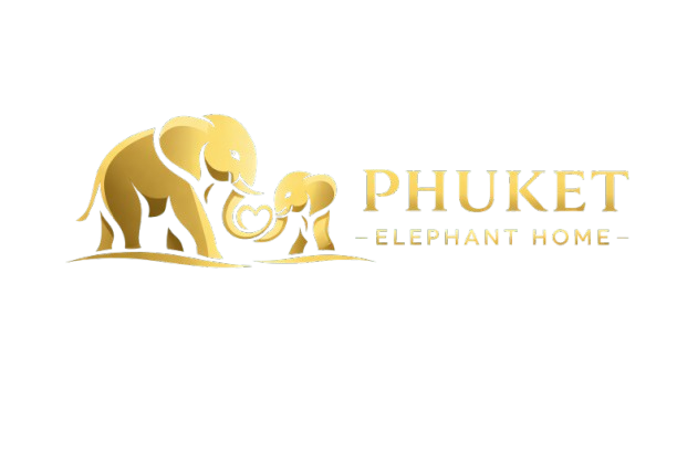Phuket Elephant Home